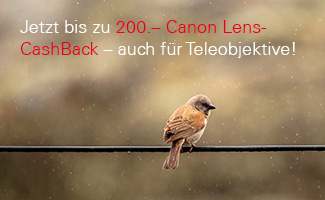 Jetzt bis zu 200.- Canon Lens-CashBack – auch für Teleobjektive!