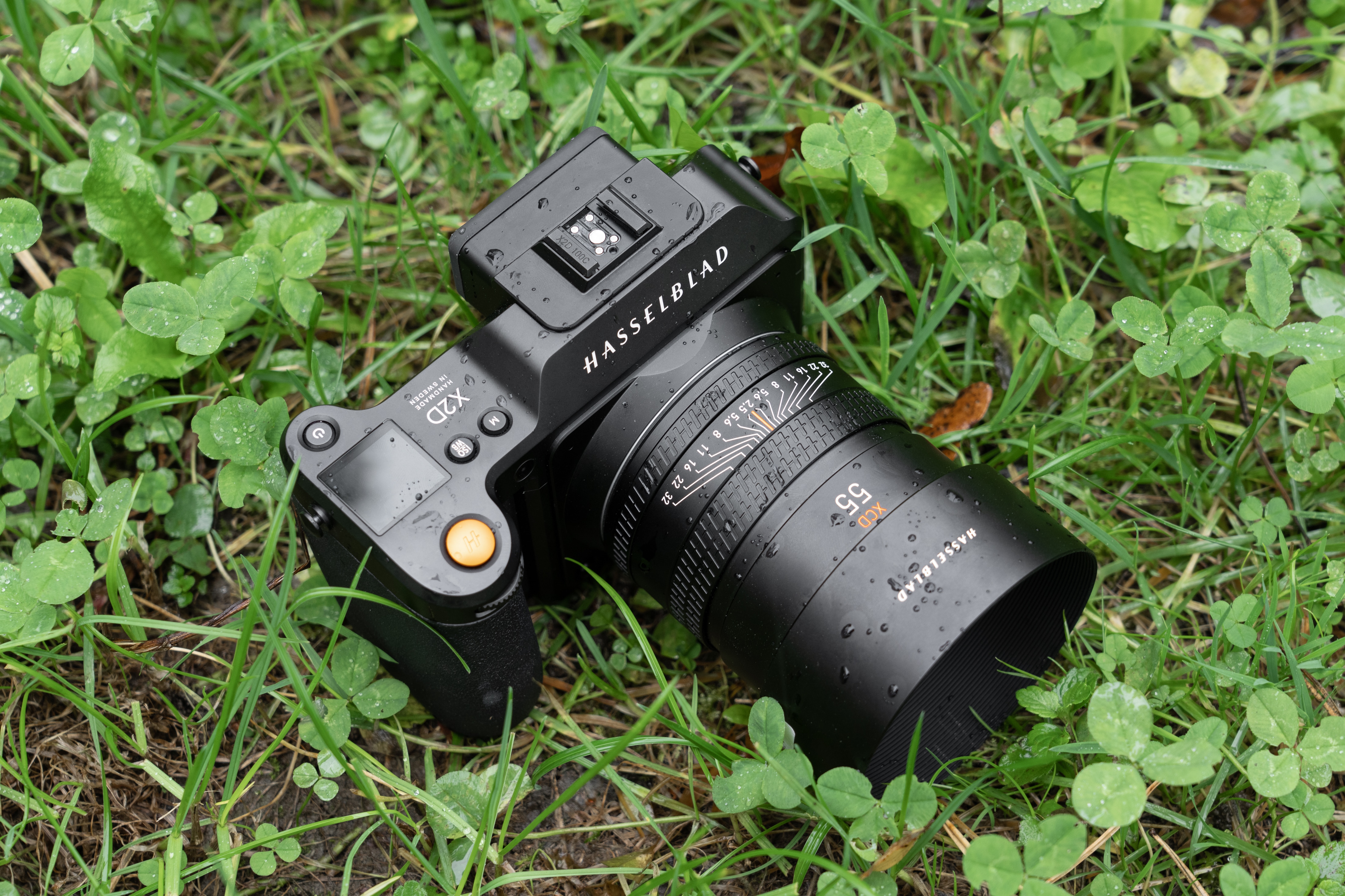 Hasselblad X2D, XCD 21/F4, XCD 65/F2.8 Expensive muse: Hasselblad