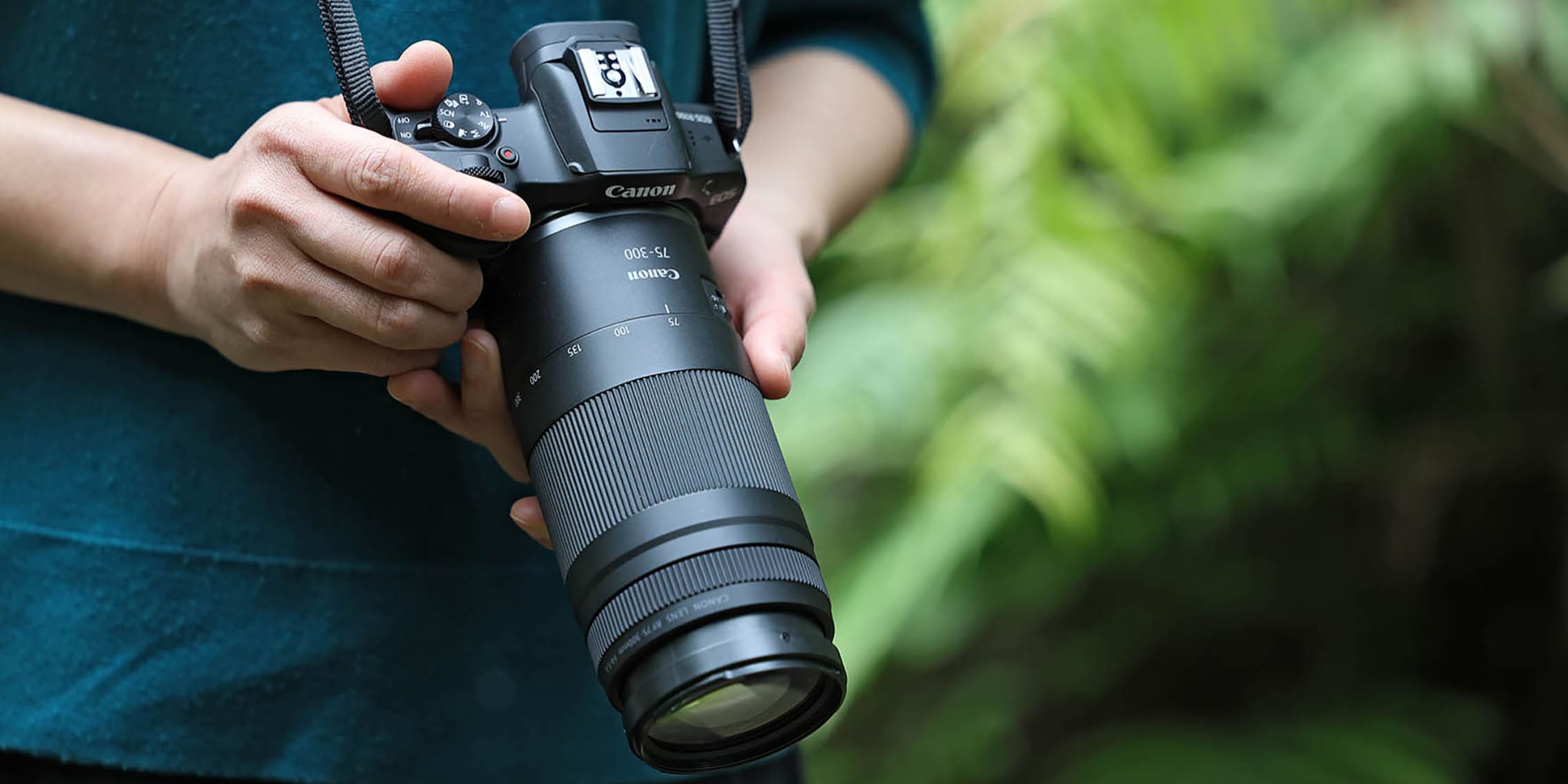 Canon RF 75-300 mm F4-5.6: old lens, new bayonet mount - Digitec