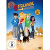 Enid Blytons Fünf Freunde-Für Alle Fälle (Box 1) (2015, DVD)