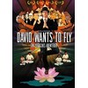 David vuole volare (2010, DVD)