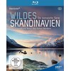 Wildes Skandinavien (2011, Blu-ray)