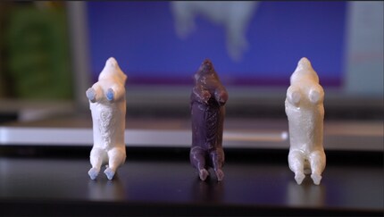 Am Bauch des DigiDogs sind die Spuren des Stützmaterials sichtbar