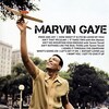 ICON (Gaye Marvin, 2010)