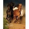 Pferde Classics - Kalender 2018
