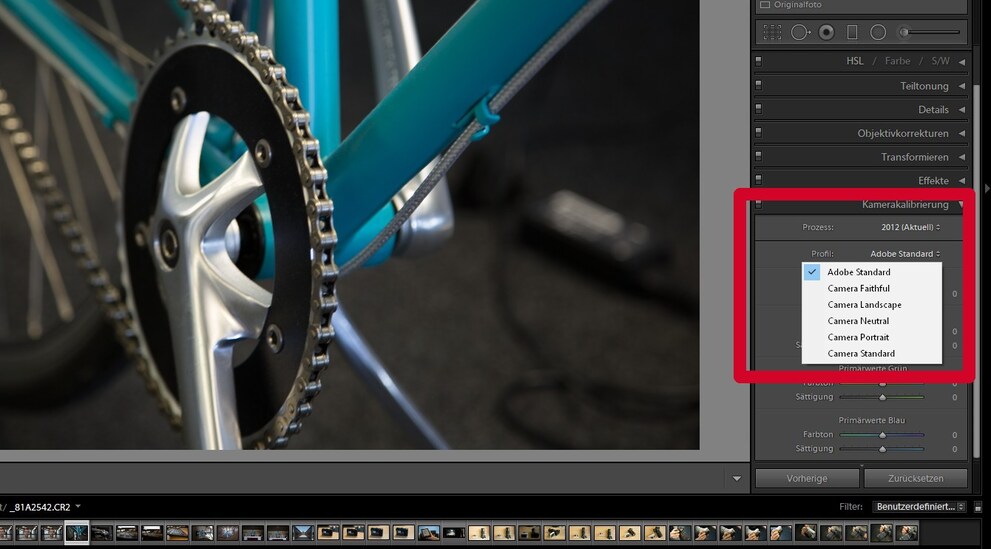 Mit den Kameraprofilen in Lightroom kannst du auch für RAW einen Bildstil  festlegen