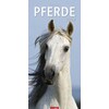 Pferde - Kalender 2019 (Tedesco, Inglese)