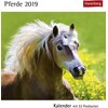 Pferde - Kalender 2019 (Allemand)