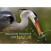 Magische Momente der Natur - Kalender 2019 (German)