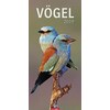 Vögel - Kalender 2019 (Inglese, Tedesco)