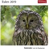 Eulen - Kalender 2019 (Deutsch)