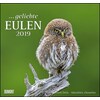 Geliebte Eulen 2019 - Wandkalender - mit den wichtigsten Feiertagen - Format 38,0 x 35,5 cm (German)