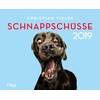 Schnappschüsse 2019 (Tedesco)