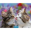 Notiz-Kalender Katzen 2019 (Deutsch)