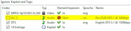 Die nicht benötigte Tonspur wird durch Deaktivierung des Häkchens entfernt.