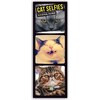 Cat Selfies - Katzen-Selfies 2019 (Allemand, Français, Anglais)