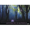 Mystische Waldwege 2019 (Deutsch, Französisch, Englisch)