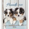Hunde 2019 Postkartenkalender (German)