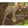 Faszination Afrika 2019 (Deutsch, Französisch, Englisch)