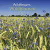 Wildblumen 2019 (Allemand, Anglais)