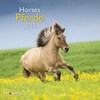 Pferde 2019 Broschürenkalender (German, English)