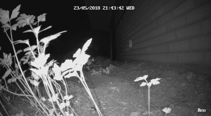 Auch die Qualität bei Nachtaufnahmen ist ganz ordentilich, wenn auch nur auf einige wenige Meter Distanz.