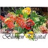Blumen - Digital (Wandkalender 2019 DIN A2 quer)
