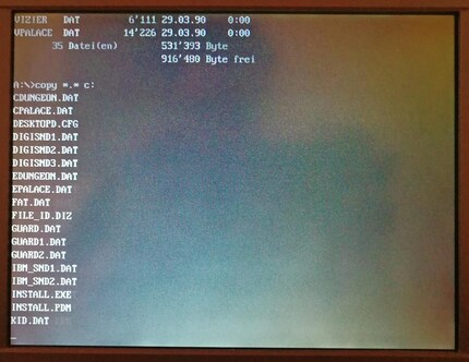 Many games from the 90s fit on a floppy disc and can therefore be copied relatively quickly.