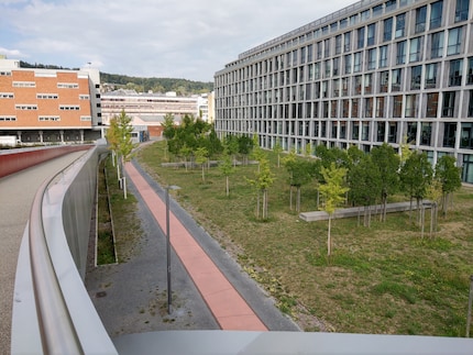 A view of the avenue in front of the Westpark building
