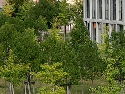 The cropped image still contains a lot of information and the pixels are not even the size of a fist