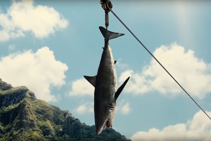 2. Fischfutter für den Fischdino