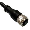 Rs Pro M12 Connector Female Straight, 12W, 2m