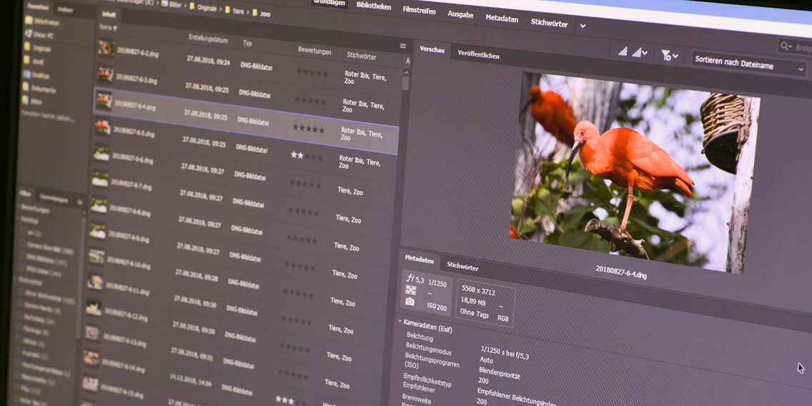 Adobe Bridge: Kostenlose Fotoverwaltung Adobe Bridge: Kostenlose Fotoverwaltung