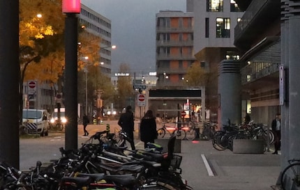 Ausschnitt aus dem obigen Bild