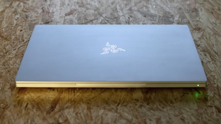 Das unbeleuchtete Razer-Logo ist je nach Lichteinfall kaum oder sehr gut zu sehen.