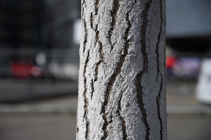 Licht von der Seite