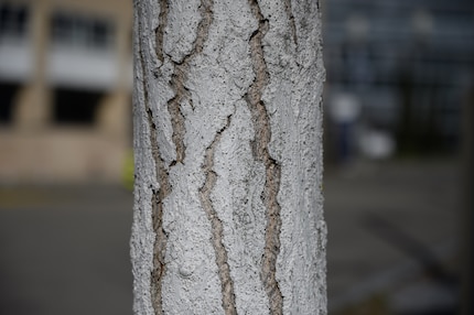 Licht von hinten