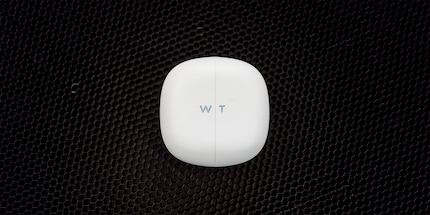 An wen gehen die Daten aus dem Timekettle WT2 Plus?