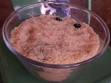 The drone in the rice bath