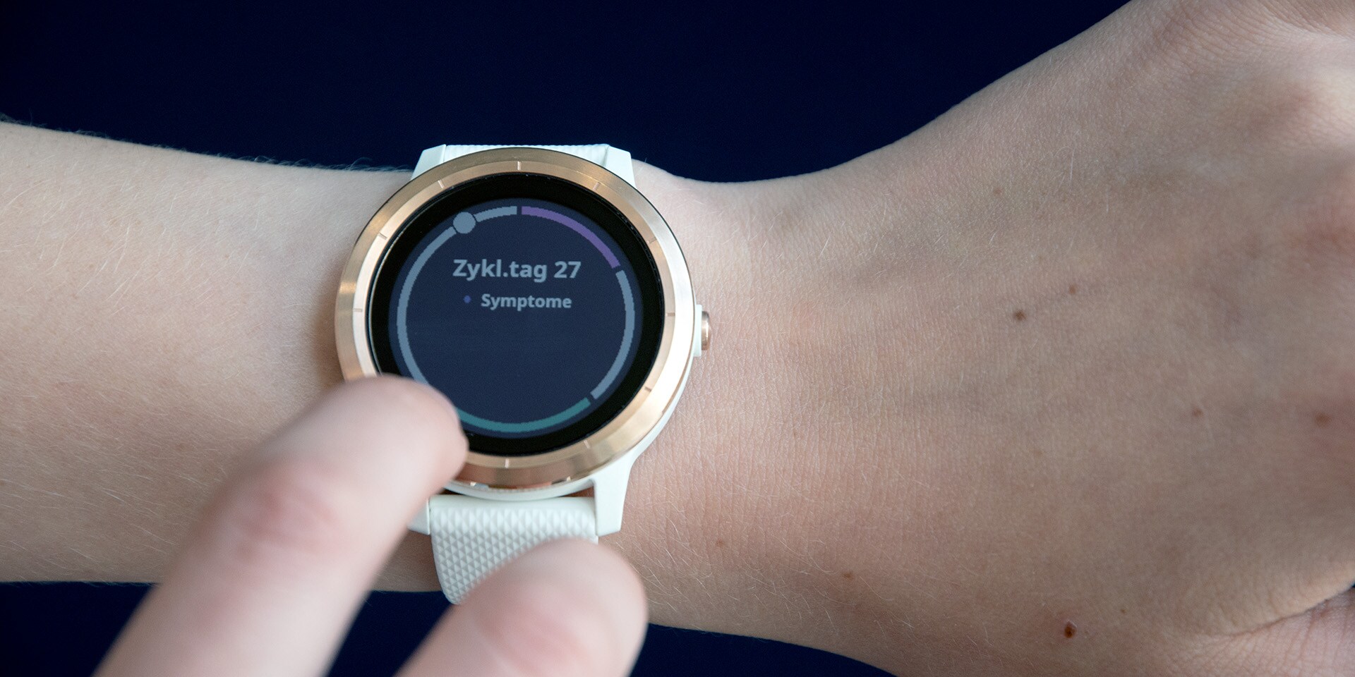 Vivoactive 3 6.60 2025