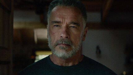 Arnold Schwarzenegger as the T-800