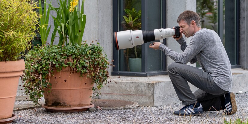 Perle vor die Sau geworfen: Ich probiere das neue Sony 600mm f/4 GM OSS aus