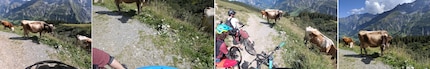 V.g. GoPro, Sony, DJI, Pixel. Les belles jambes de vache sont le résultat de la caméra Sony qui a glissé sans que l'on s'en rende compte.