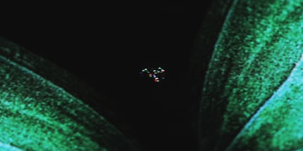 Pixels defected in the middle of the phone