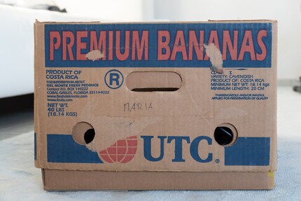 La scatola degli orrori a forma di banana. Niente di ciò che dice è vero.