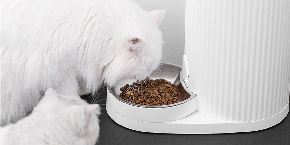 Xiaomi-Tierfutterstation ist ein gefundenes Fressen für Hacker