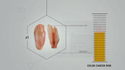 Beautiful illustrations and statistics emphasise what has been said