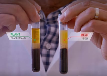 The difference in blood between two meals