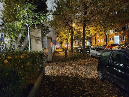 Immagine 1