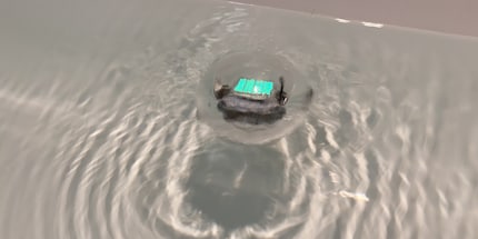 Il ne roule pas seulement sur les sols durs et la moquette, mais aussi dans l'eau.